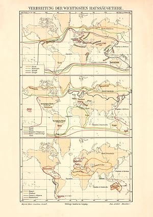 Alte historische Landkarte Verbreitung Haussäugetiere Karte Lithographie 1904