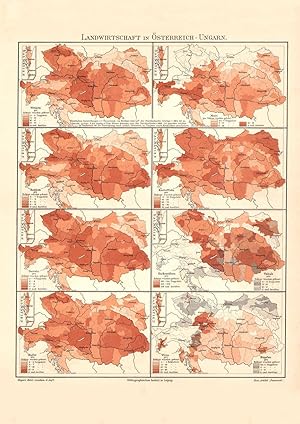 Historische Landkarte Österreich Ungarn Landwirtschaft Karte Lithographie 1906