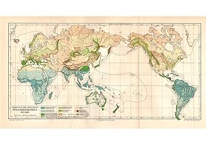 Historische Landkarte Welt Verbreitung Pflanzengruppen Karte Lithographie 1906