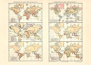 Historische Landkarte Verbreitung der Säugetiere I. - IV Karte Lithographie 1907