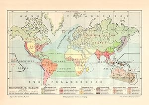 Alte Landkarte Tiergeographische Regionen nach Wallace Karte Lithographie 1908