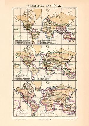 Historische Landkarte Verbreitung der Vögel I. - II. Karte Lithographie 1908