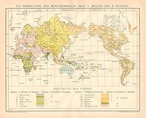 Alte historische Landkarte Menschenrassen Weltkarte Lithographie 1892
