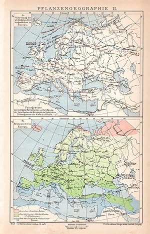 Alte historische Landkarte Pflanzengeographie II. Karte Lithographie 1892