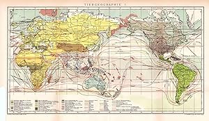 Alte historische Landkarte Tiergeographie Weltkarte Lithographie 1892