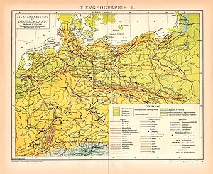 Historische Landkarte Tiergeographie II. Deutschland Karte Lithographie 1892