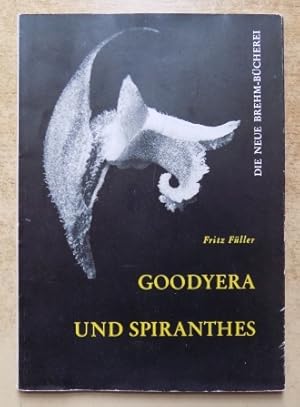 Goodyera und Spiranthes.