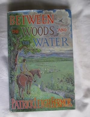 Between the Woods and the Water: On Foot to Constantinople from the Hook of Holland: The Middle D...