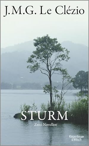 Seller image for Sturm for sale by BuchWeltWeit Ludwig Meier e.K.