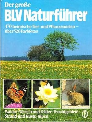 Der große BLV Naturführer. Wälder - Wiesen und Felder, Feuchtgebiete, Strand und Küste, Alpen.