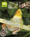 Vida verde. Insectos, anfibios y reptiles