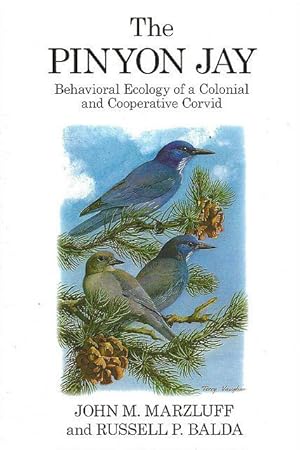 Image du vendeur pour The Pinyon Jay. Behavioral Ecology of a Colonial and Cooperative Corvid. mis en vente par C. Arden (Bookseller) ABA