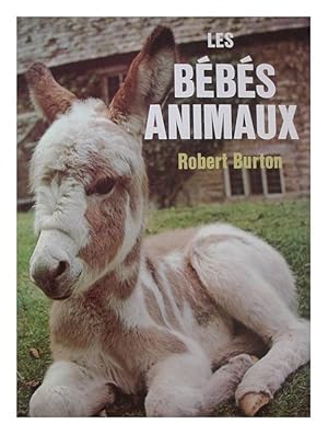 Bébé animaux