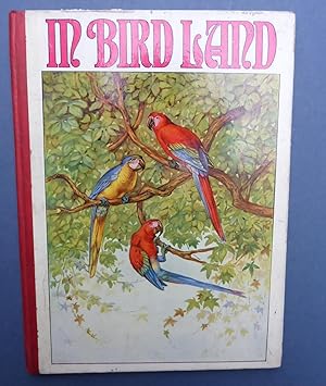 In Bird Land