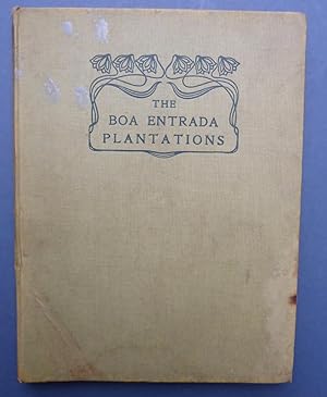 The Boa Entrada Plantations - S Thomé, Portuguese West Africa - 'La Perle Des Colonies Portugaise...