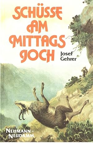 Schüsse am Mittagsjoch