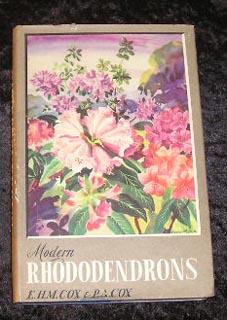 Modern Rhododendrons