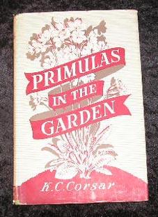 Primulas in the Garden