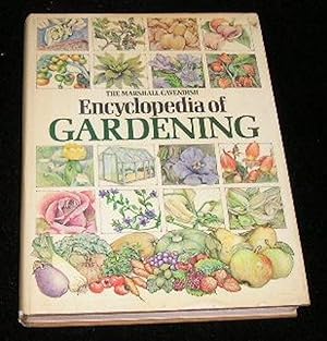 Seller image for Encyclopedia of Gardening for sale by Yare Books