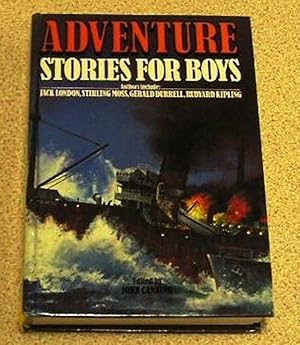 Imagen del vendedor de Adventure Stories for Boys a la venta por Yare Books