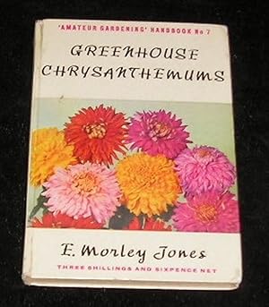 Greenhouse Chrysanthemums