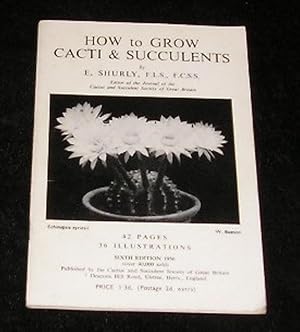 How to Grow Cacti & Succulents