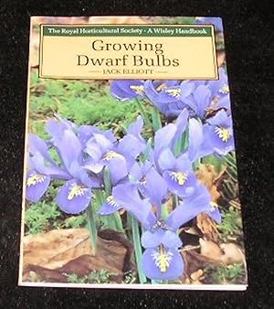 Growing Dwarf Bulbs