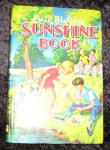 Seller image for Sunshine Book for sale by Yare Books