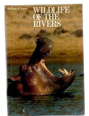 Wildlife of the Rivers