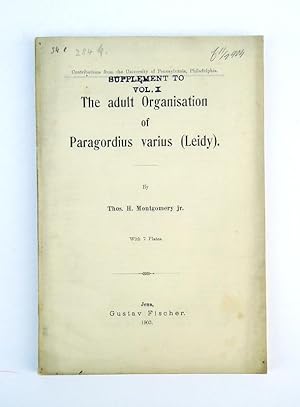 The adult Organisation of Paragordius varius (Leidy).