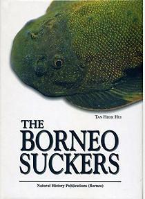 The Borneo Suckers: Revision of the Torrent Loaches of Borneo