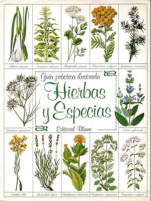 Bild des Verkufers fr HIERBAS Y ESPECIAS Gua prctica ilustrada zum Verkauf von ALEJANDRIA SEVILLA