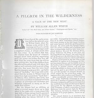 Bild des Verkufers fr A Pilgrim In The Wilderness. A Tale Of The New West zum Verkauf von Legacy Books II