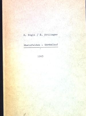 Imagen del vendedor de Eine gallormische Villa rustica bei Rheinfelden (Grbelhof); Aus: Argovia 75; a la venta por books4less (Versandantiquariat Petra Gros GmbH & Co. KG)