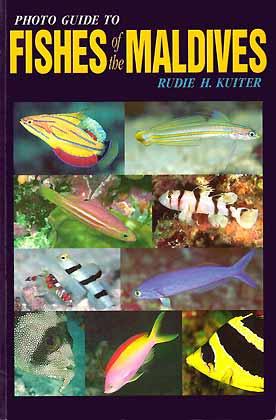 Seller image for Photo Guide to Fishes of the Maldives for sale by ConchBooks