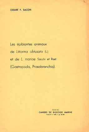 Immagine del venditore per Les pibiontes animaux de Littorina obtusata (L.) et de L. mariae Sacchi et Rast. (Gastropoda, Prosobranchia) venduto da ConchBooks