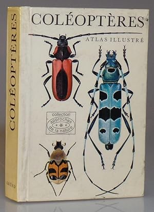 Coleopteres Atlas Illustre