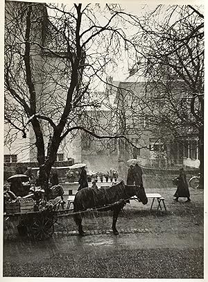 Novemberschnee in Frauenfeld. Originalfotografie