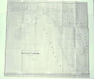 A PLAT EXHIBITING THE STATE OF THE SURVEYS IN THE STATE OF FLORIDA