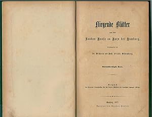 Bild des Verkufers fr Fliegende Bl?tter aus dem Rauhen Hause zu Horn bei Hamburg 34. Serie und Das Beiblatt der Fliegenden Bl?tter 28. Jahrgang 1877 zum Verkauf von Antiquariat Hans Wger