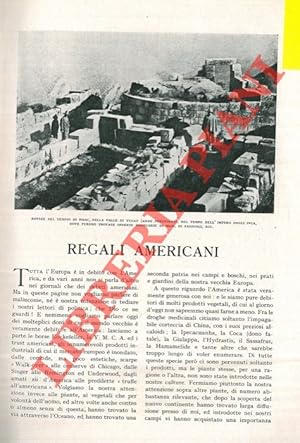 Regali americani.