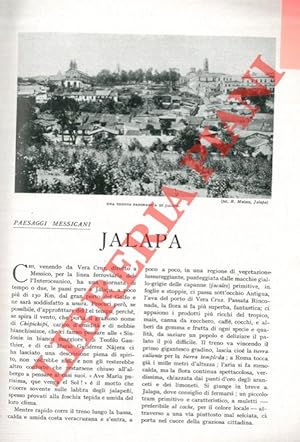 Imagen del vendedor de Jalapa. a la venta por Libreria Piani