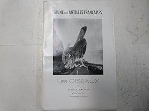 Seller image for Faune des Antilles franaises - Les oiseaux for sale by Librairie Lecrique