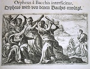 Orig.-Kupferstich: Orpheus wird von denen Bacchis erwürgt.