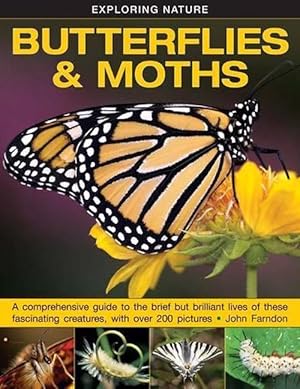 Imagen del vendedor de Exploring Nature: Butterflies & Moths (Hardcover) a la venta por Grand Eagle Retail