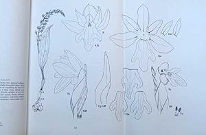 Seller image for The Orchids of Nepal Himalaya. Signed copy for sale by Barter Books Ltd