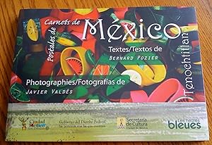 Carnets de México Tenochtitlan / [textes, Bernard Pozier ; photographies, Javier Valdés ; traduct...