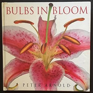 Image du vendeur pour Bulbs in Bloom: Bulbs, Corms, Tubers, Rhizomes, and Tuberous Roots mis en vente par Goulds Book Arcade, Sydney