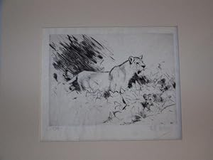 Lioness with Cubs ** Original Pencil Signed Ltd Edition Etching **