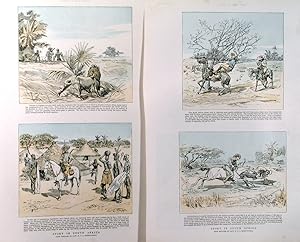 SPORT IN SOUTH AFRICA. Eight scenes of wild game hunting. Lions, Tigers, Crocodiles, Antelopes,...